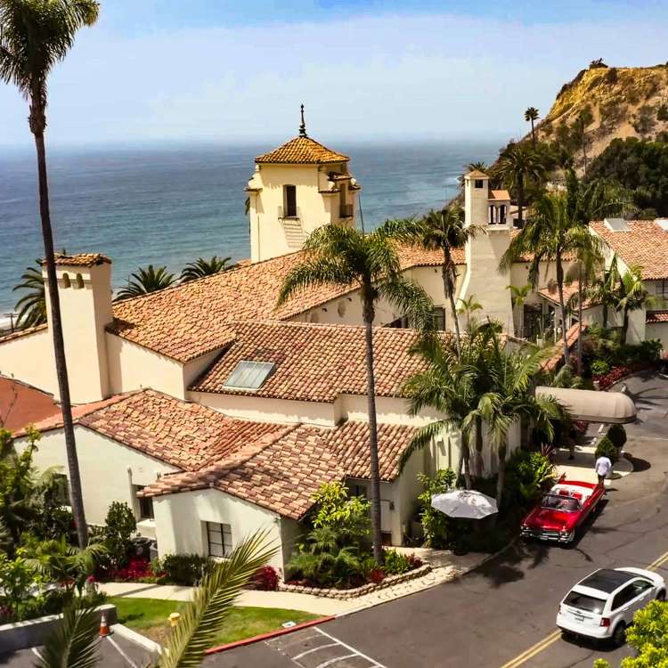 Bluecat International