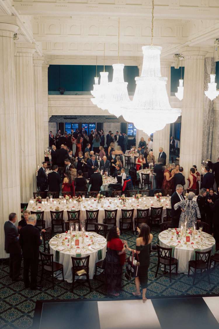 Stellaluna Events