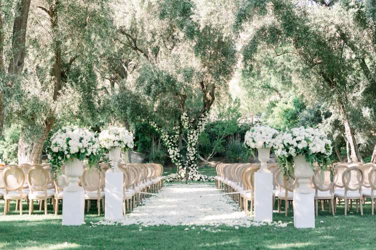 Tricia Dahlgren Events