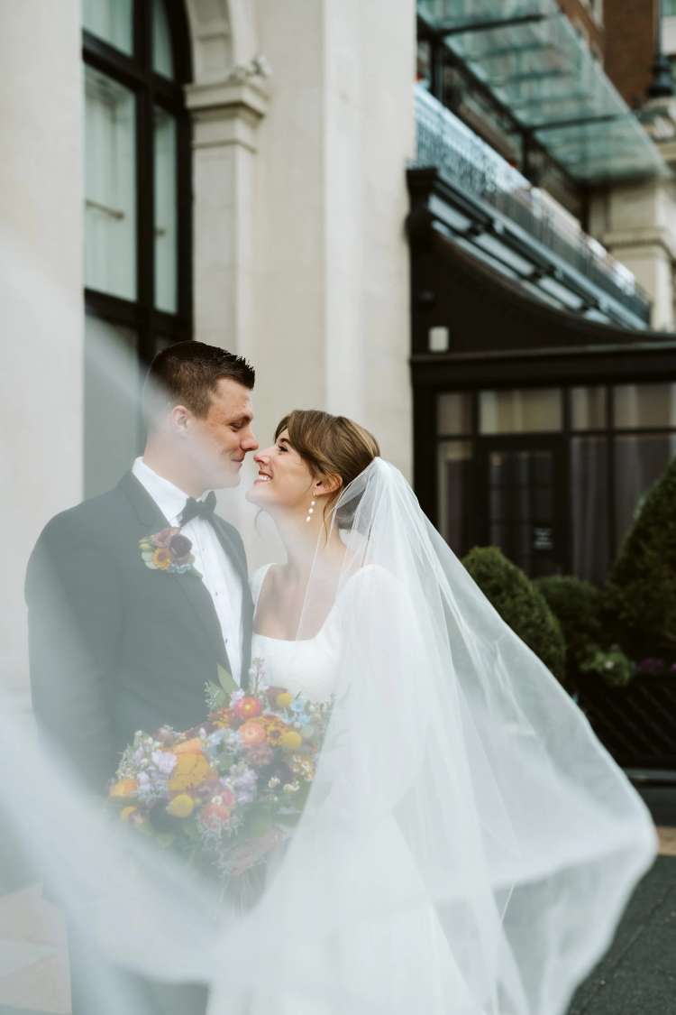 Allison Vollink Photography